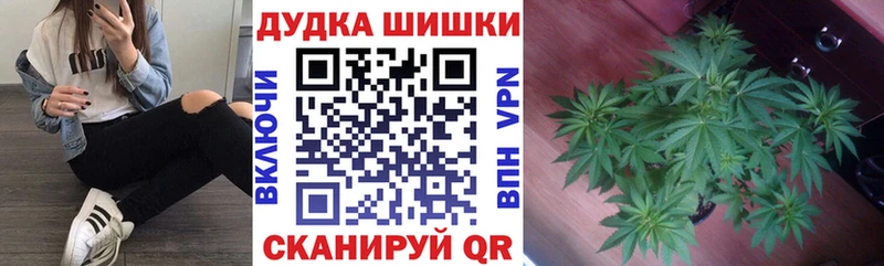 Бошки Шишки конопля  цена   Спасск-Рязанский 